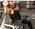 Jeremy Dutra, Seated Dumbbell Press